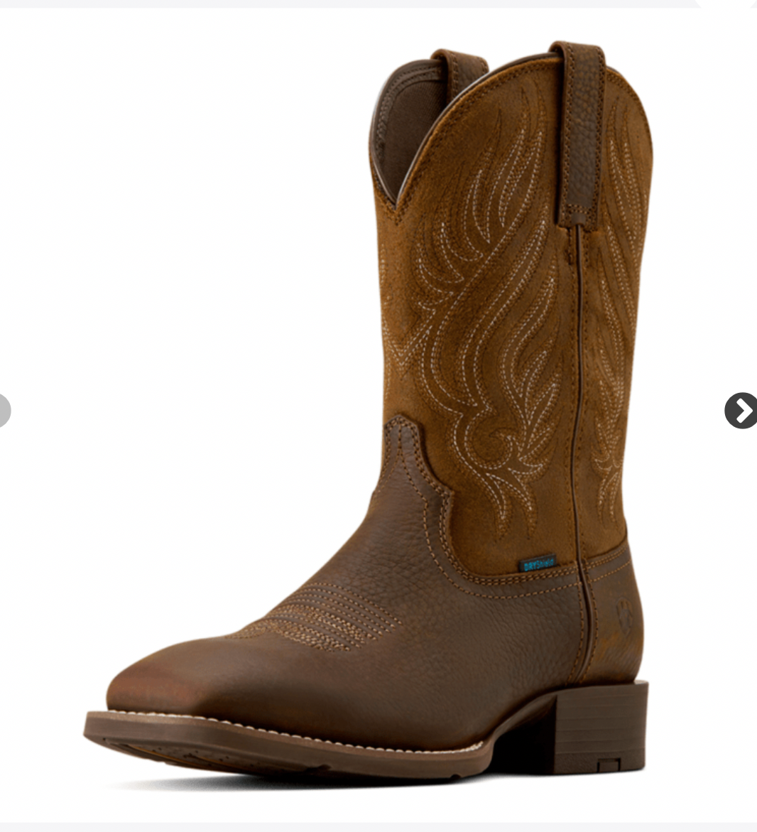 Ariat MNS Western  sport riggs h20  Cowboy Boot  brun HERR