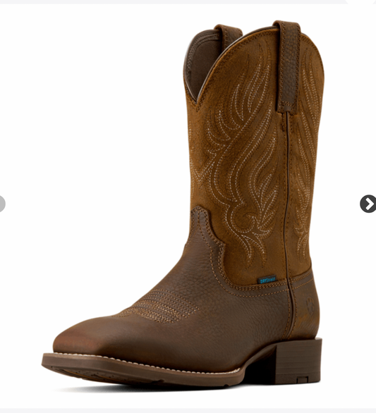 Ariat MNS Western  sport riggs h20  Cowboy Boot  brun HERR