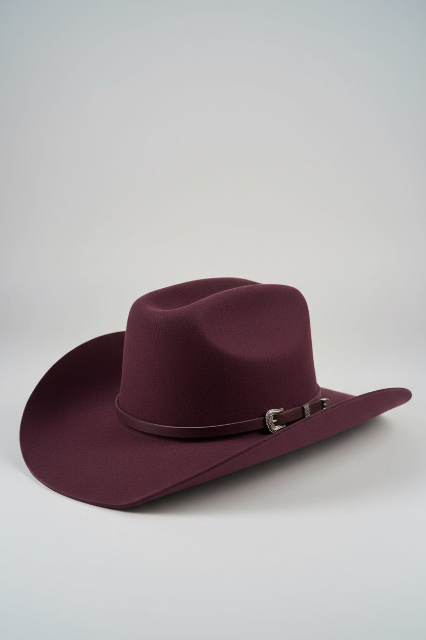 Rebell dusty trail plum Texas westernhatt