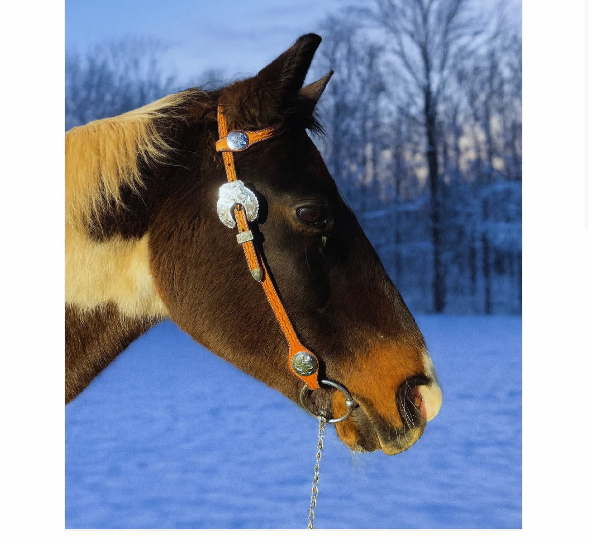 Wildwestrebell western träns konjak silver chonchos