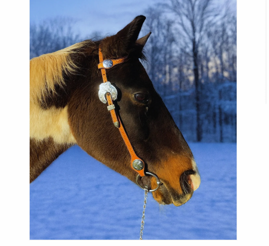 Wildwestrebell western träns konjak silver chonchos