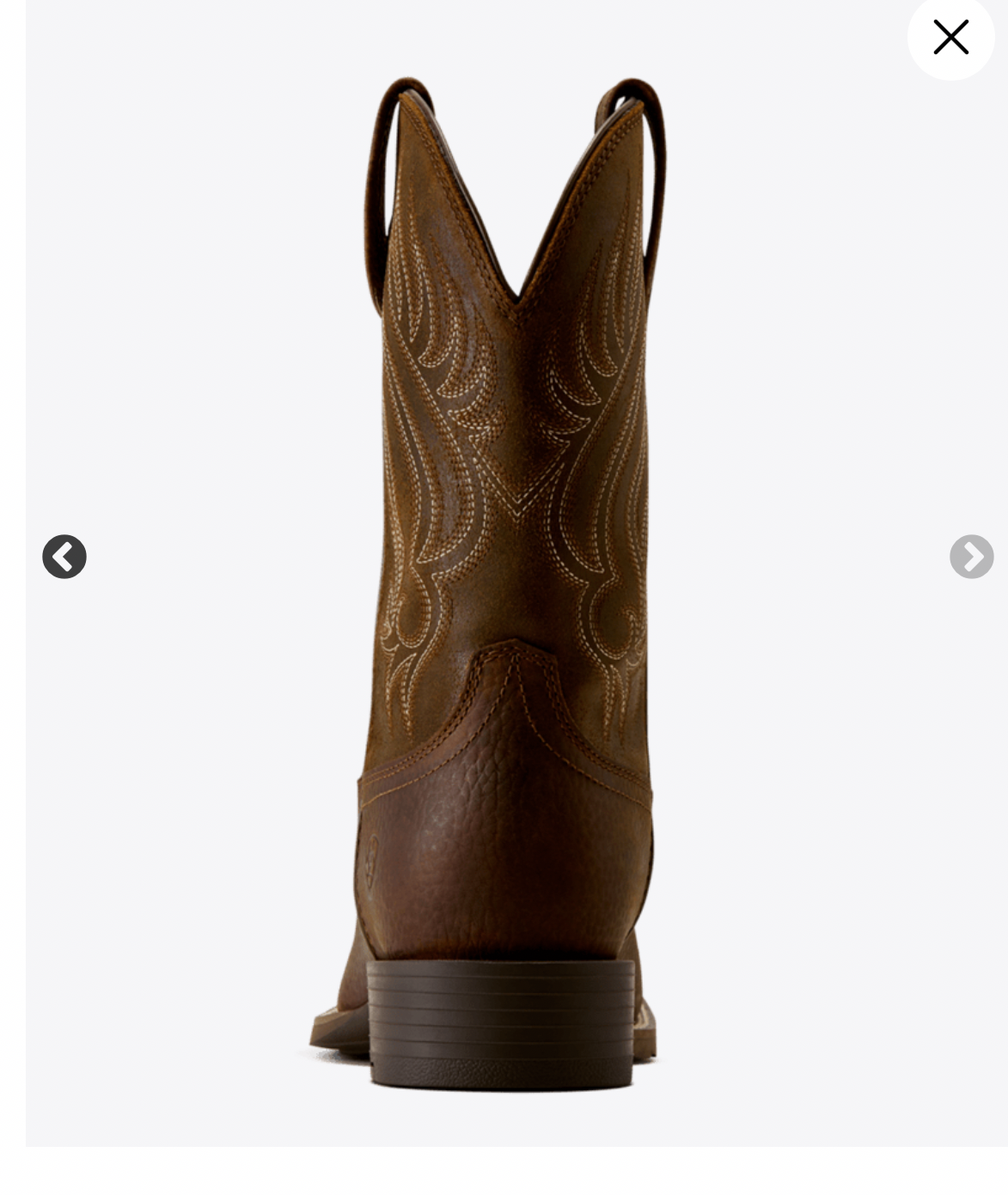 Ariat MNS Western  sport riggs h20  Cowboy Boot  brun HERR