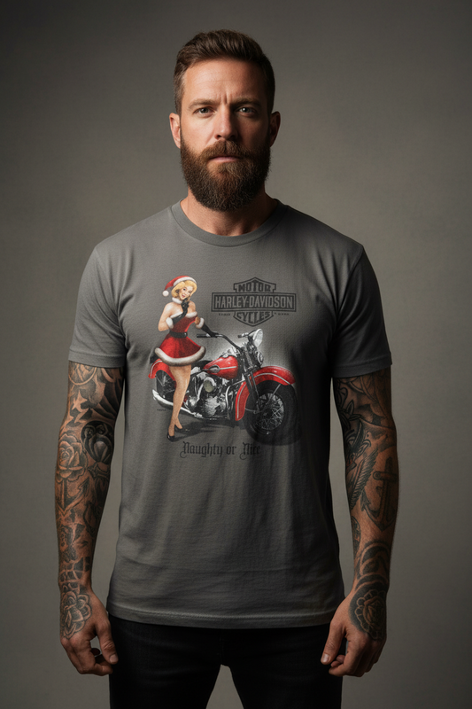 Harley Davidson motorcykel tshirt Grå xl unisex
