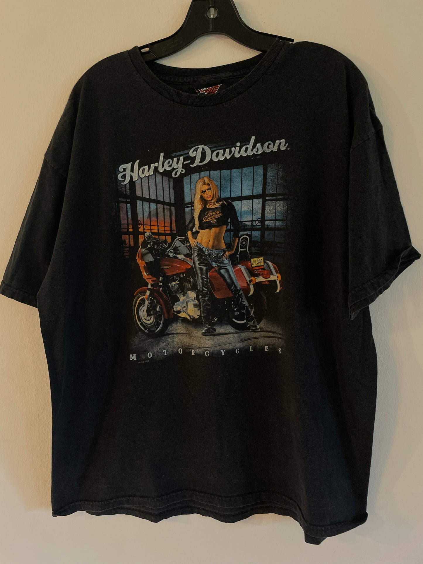 Harley Davidson motorcykel  tshirt    Svart  xl unisex