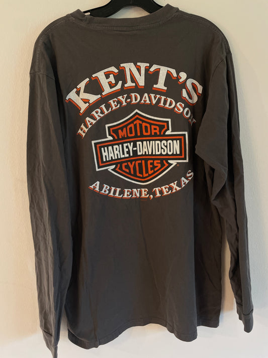 Harley  Davidson  tröja  grå långärmad large unisex