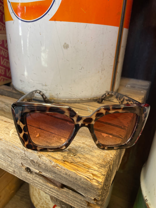 Rebell solglasögon leopard dreams