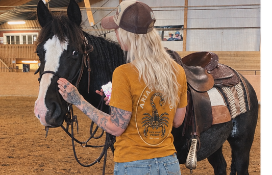 Ariat MNS Ariat scorpinion seal ariat Herr  T-Shirt