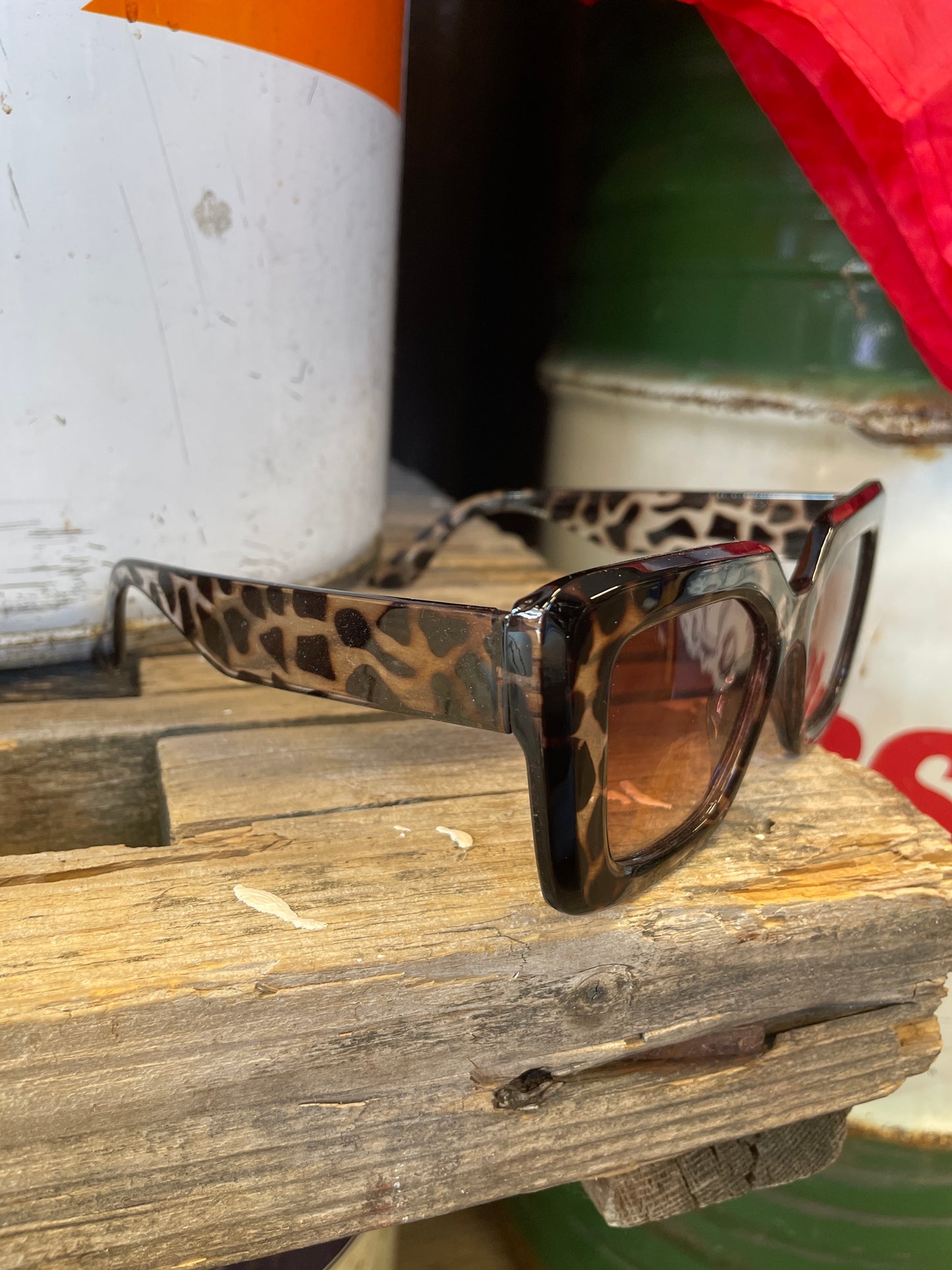 Rebell solglasögon leopard dreams