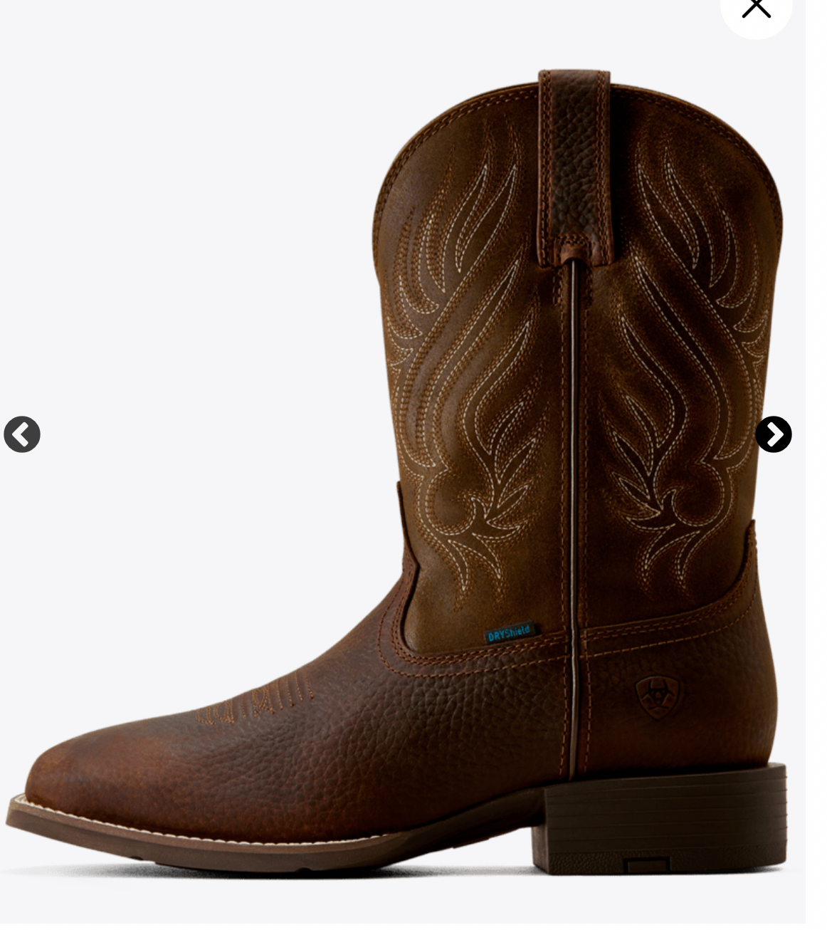 Ariat MNS Western  sport riggs h20  Cowboy Boot  brun HERR