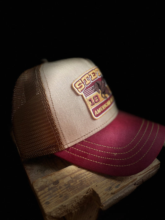 Stetson Trucker Keps American Heritage brown