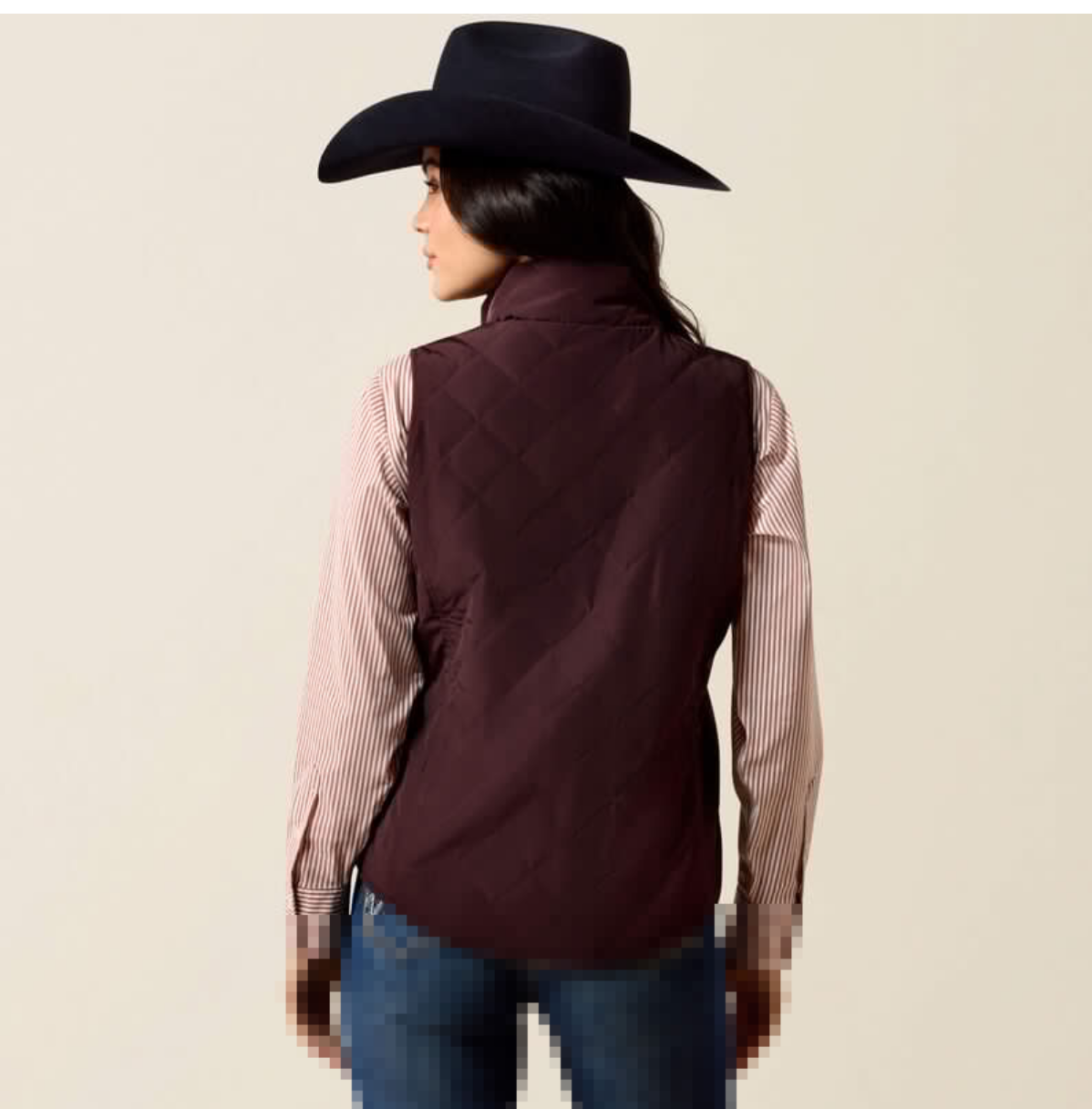 Ariat dam  WMS Dilon 2.0 Reversible Insulated Vest