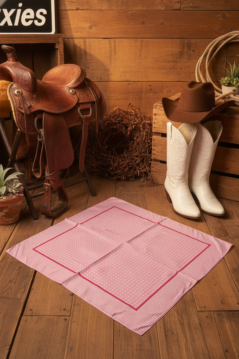 Rebell wild rags Texas scarf rosa