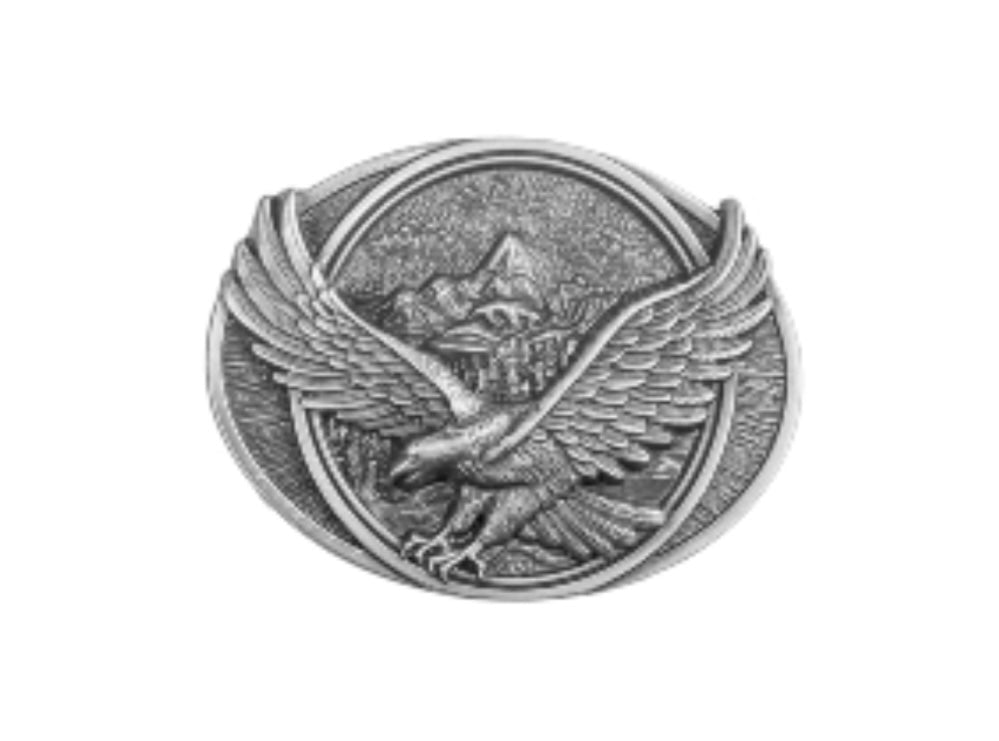 stars & stripes belt buckle