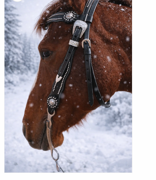 Wildwestrebell western träns svart futurity